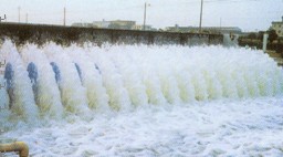 20141231104151808.jpg 20141231104151808.jpg